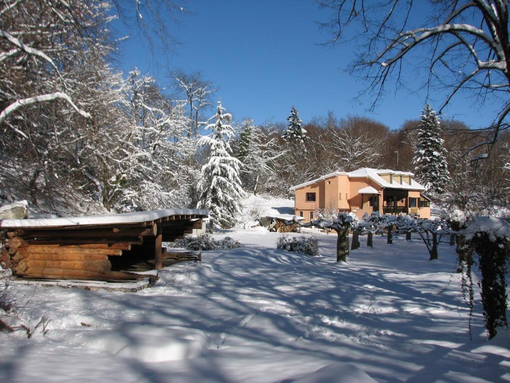Pyrenees Emotions, Eco-Responsables, Nature, Sports Aventures Malvezie Exterior photo